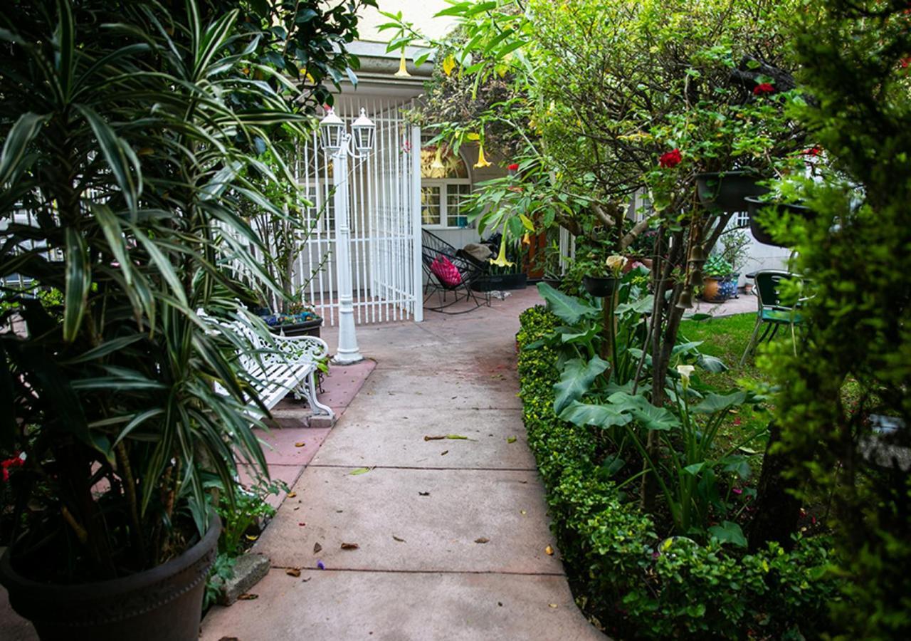Bed and Breakfast Casa San Pedro Mexiko-Stadt Exterior foto